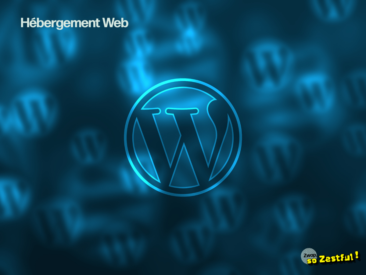 WordPress lent : 6 optimisations serveur pour gagner en vitesse et en stabilité